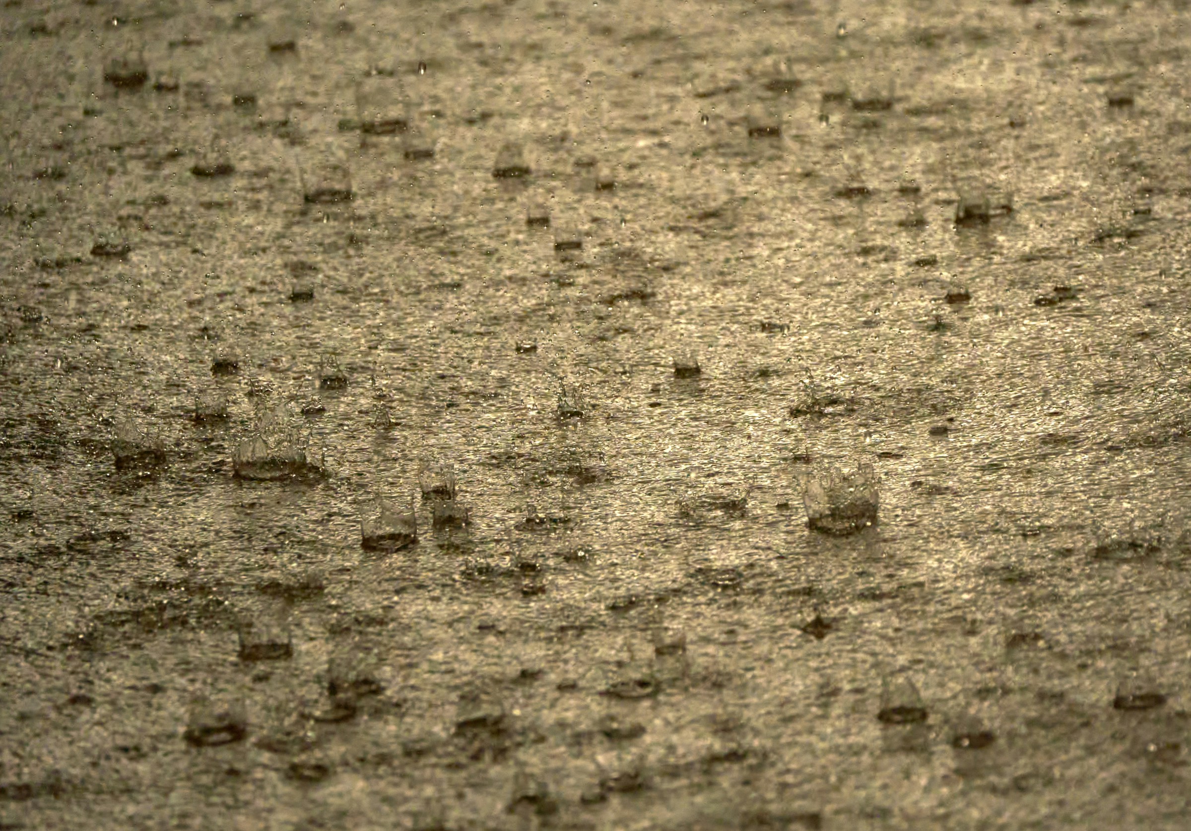 Rain falling onto textured ground, with many droplets forming small splash crowns.